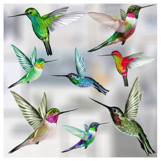 8 MIXED BEAUTIFUL HUMMING BIRD STATIC CLING WINDOW STICKERS HUMMINGBIRD ANTI COLLISION BIRD STRIKE WINDOW STICKERS UNIQUE DOUBLE SIDED PRINT