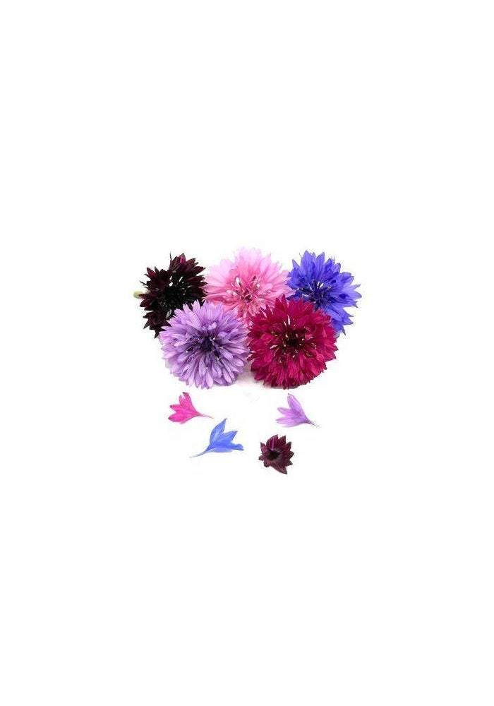 Cornflower Mix Edible Flowers - 15 Pcs