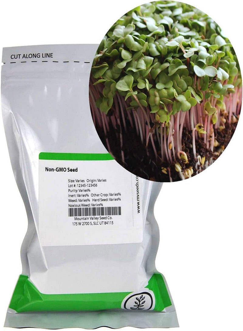 GGOOT Radish Sprouting Seed - Red Arrow Variety - 4 oz Seed Pouch - Heirloom Radish Sprouts - Non-GMO Sprouting and Micro Greens - Image 2