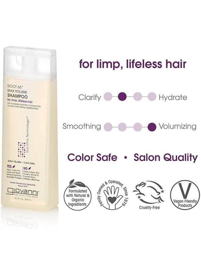Giovanni Root 66 Max Volume Shampoo, Eco Chic Technology 250ml - Image 2