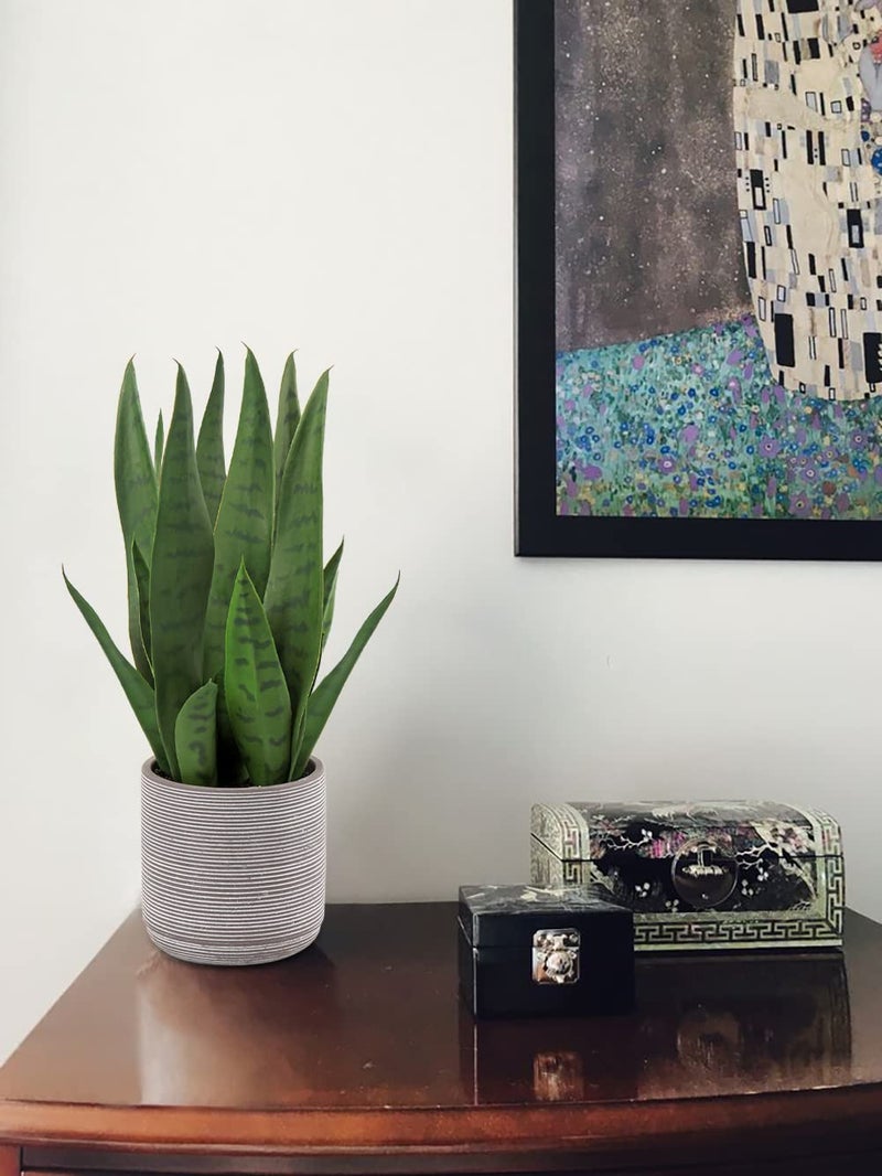 Briful Fake Snake Plant 16" Faux Potted Plant Artificial Snake Plant with Cement Pot Sansevieria Plant Perfect for House Modern Living Room Office Housewarming Gift Indoor Decor - Image 3