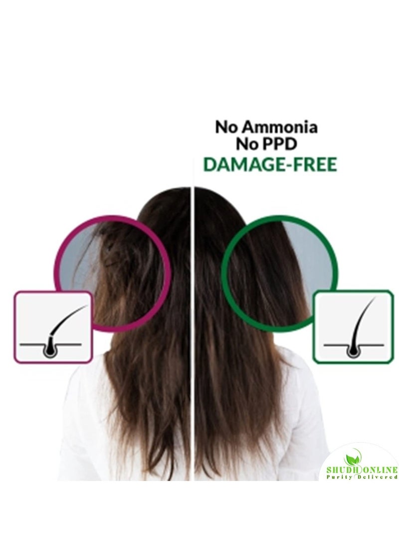 Shudh Online Indigo and Henna Powder Organic for Hair Colour (50 Grams each - 100 grams), avuri and Mehandi, Neela Amari, Natural Mehndi, Neel Patti, Cassia Obovata, Neelayamari, Neli Aku - Image 5