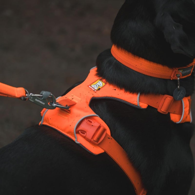 Ruffwear, Front Range Dog Harness, Reflective Soft Padded Everyday Harness with Dual Leash Clips, Adjustable and Lightweight Fit for Training or Walking for All Dogs, Blaze Orange, Large/X-Large - Image 5