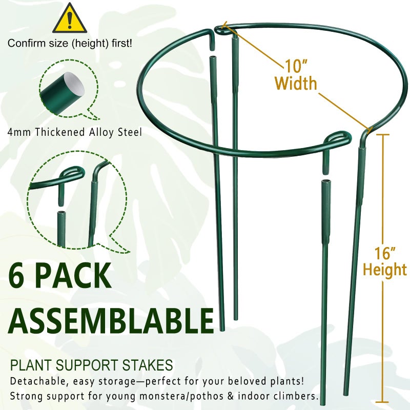 Soupiar 6 Pack Detachable & Assemblable Metal Plant Support Stakes - Garden Support Ring, Tomato Seedling Cage, Young Monstera/Pothos for Growing Indoor/Outdoor (10" W x 16" H) - Image 2