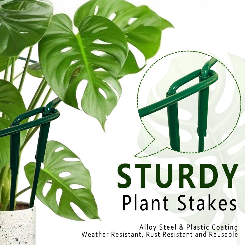 Soupiar 6 Pack Detachable & Assemblable Metal Plant Support Stakes - Garden Support Ring, Tomato Seedling Cage, Young Monstera/Pothos for Growing Indoor/Outdoor (10" W x 16" H) - Image 4