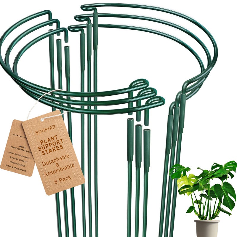 Soupiar 6 Pack Detachable & Assemblable Metal Plant Support Stakes - Garden Support Ring, Tomato Seedling Cage, Young Monstera/Pothos for Growing Indoor/Outdoor (10" W x 16" H) - Image 1