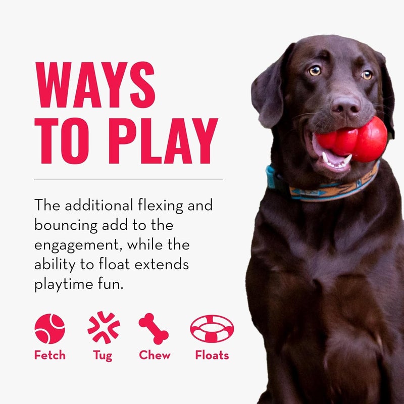 KONG SafeStix Flexible Dog Fetch Toy for Small Dogs - Durable and Safe Materials - Assorted Colors - Image 5