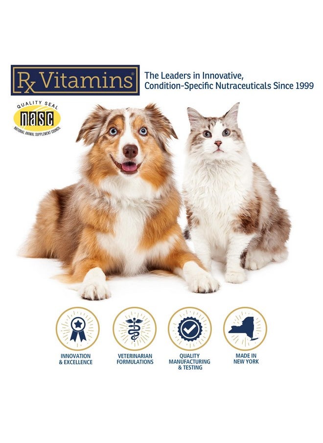 Rx Vitamins - Rx Vitamins Colostrum for Dogs & Cats - Whole Bovine Colostrum for Cats Powder - Cat & Dog Supplement Ideal Dog Immune Support, Promotes Feline Digestive Health & Dog Allergy Support - 3.52 oz (100g) - Image 1