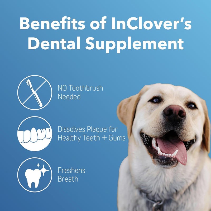 In Clover InClover Dog and Cat Dental Powder for Teeth Cleaning and Enamel and Gum Health, Natural Pet Supplement, Breath Freshener - Naturally Flush Away Tartar, No Brushing Necessary - Image 2