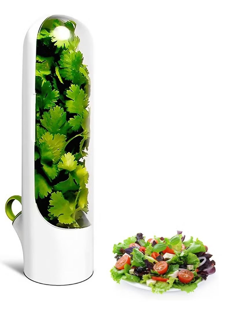 حافظة تخزين للاعشاب فاخرة للحفاظ على الاعشاب طازجة في الثلاجة لمدة 2 او 3 اسابيع مناسبة للكزبرة والنعناع والبقدونس والهليون - Image 5