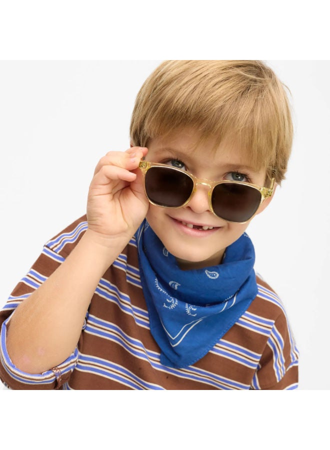 BARNER Full Rim Phantos Sunglasses DKGLe-S - Image 2