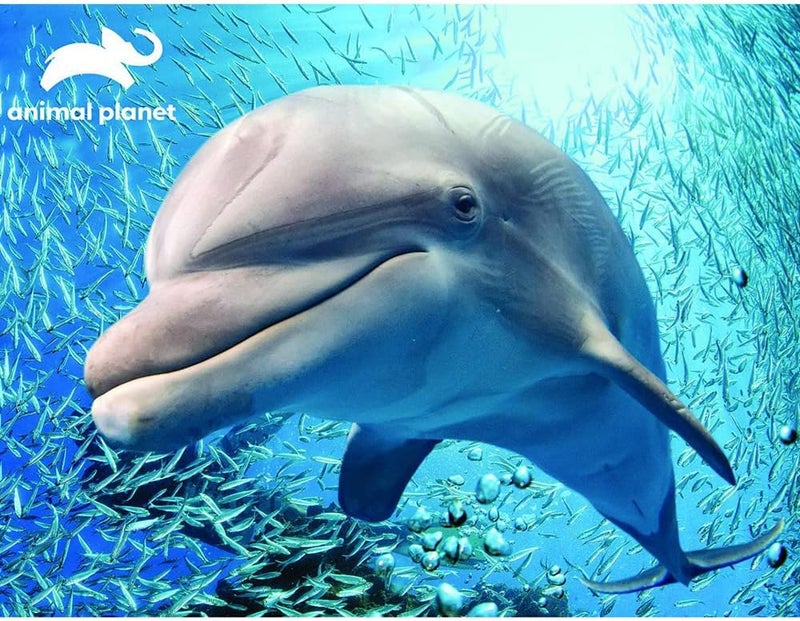 Prime 3D Animal Planet Licensed - Dolphin Puzzles - Puzzle - 48 Pcs - Image 4