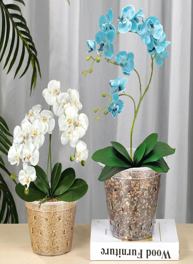 FUIJOL Orchid Pots, 8 Pack 3 4 5 6 7 Inch Orchid Pots with Holes, Clear Plastic Pots Indoor Outdoor, Slotted Orchids Planter (3 Inch) - Image 4