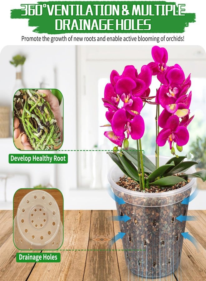 FUIJOL Orchid Pots, 8 Pack 3 4 5 6 7 Inch Orchid Pots with Holes, Clear Plastic Pots Indoor Outdoor, Slotted Orchids Planter (3 Inch) - Image 2