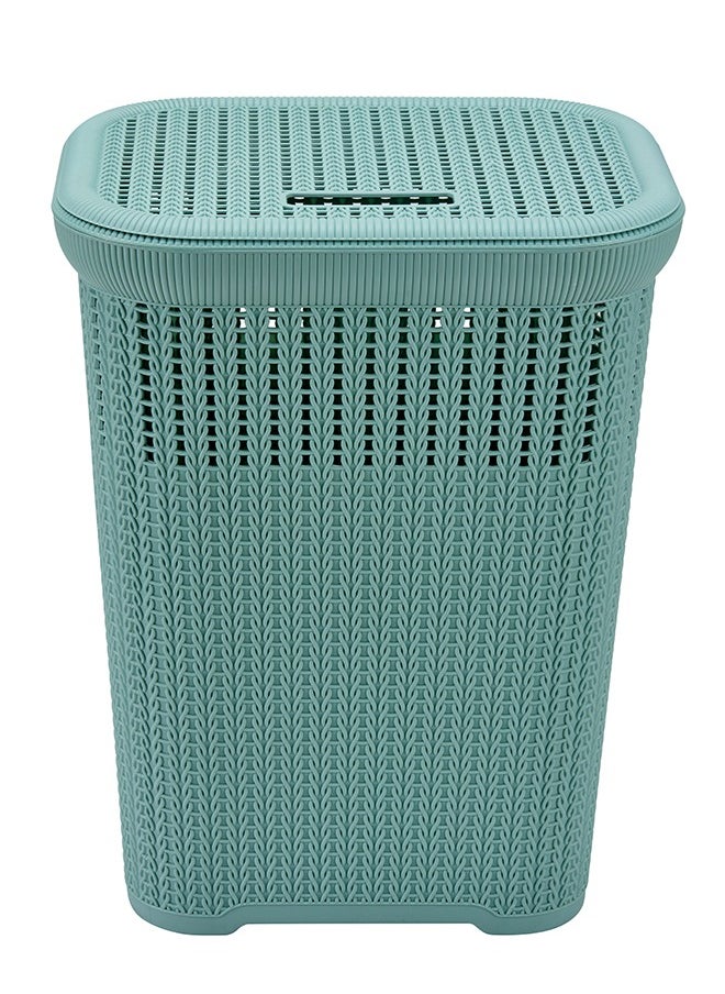 Laundry Storage Basket -Blue- Lightweight Portable Spacious Durable Ventilated Plastic Hamper with Lid and Handles -Perfect for Home Household Washing Clothes Storage Bathroom Organization Use - pzsku/Z05E80152FA65C7338911Z/45/_/1736929619/f306c6dc-28d2-4676-81ac-3a16757452af