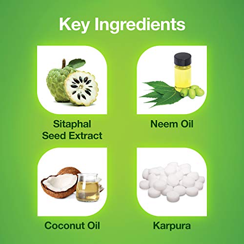 Mediker Anti Lice Treatment Shampoo with Neem & Coconut for Lice & Eggs | Relieves Itching From Lice Bite & Prevents Re-infestation | Painless Lice Removal | Safe For Children | 50 ml - Image 3
