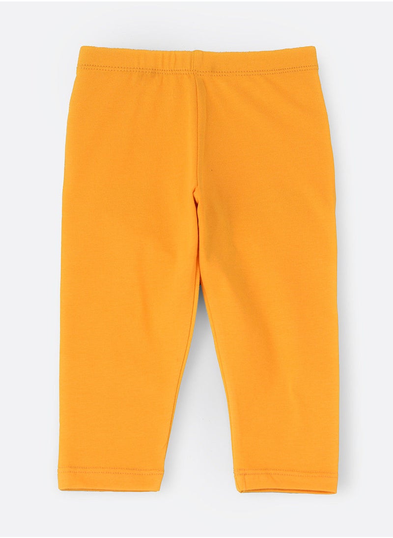 Jelliene - Knit basic legging - Image 1