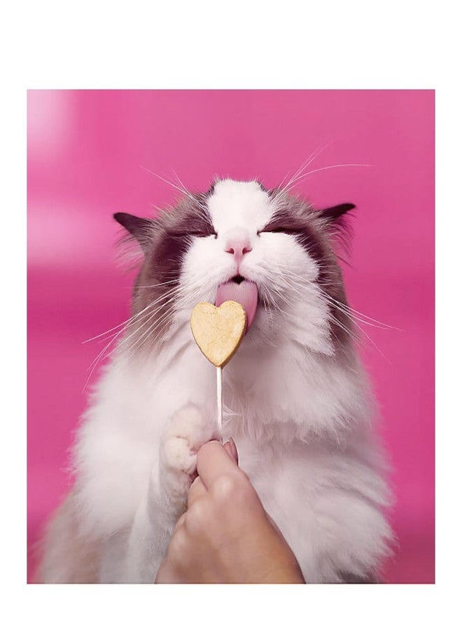 Bonkers Purr Pops Tip Top Tuna Lickable Cat Treats, Freeze-Dried Meat, 4 Count, 2 Pack (8 Pieces) - Image 3