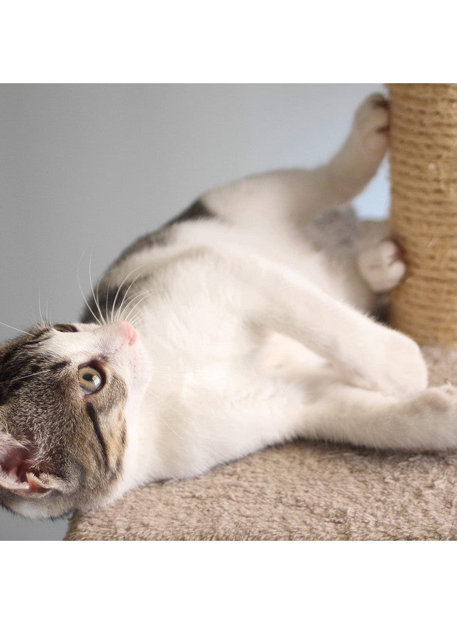 PETMAKER Cat Scratching Post - 3 Scratcher Posts with Carpeted Scratch Pad Base and Perch - Furniture Scratching Deterrent for Indoor Cats by PETMAKER (Gray) - Image 4