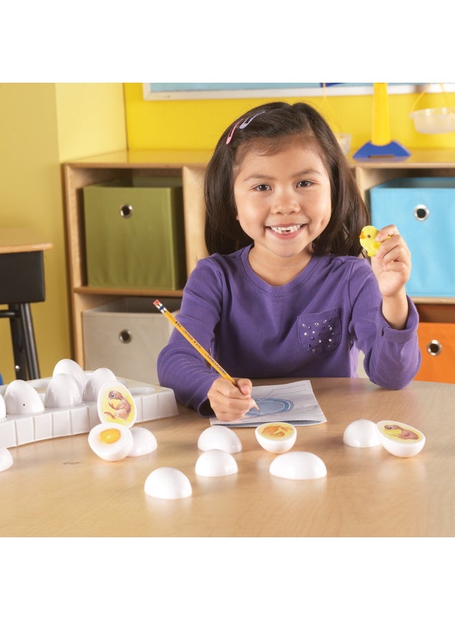 ليرننج ريسورسز مجموعة استكشاف دورة حياة الكتكوت من Learning Resources، لعبة تعليمية عملية للتطوير لمدة 21 يومًا، مورد تعليمي STEM، للأعمار من 5 سنوات فما فوق - Image 5