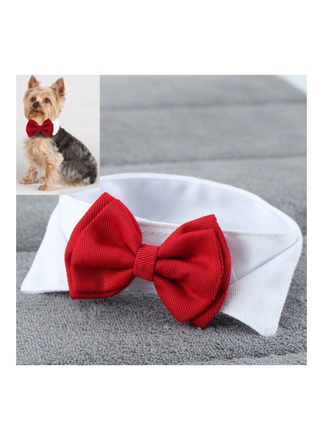 إسكدنيا طوق لطيف وقابل للتعديل بتصميم ربطة عنق بعقدة للحيوانات الأليفة أحمر 10 x 10 x 10سم - Image 4