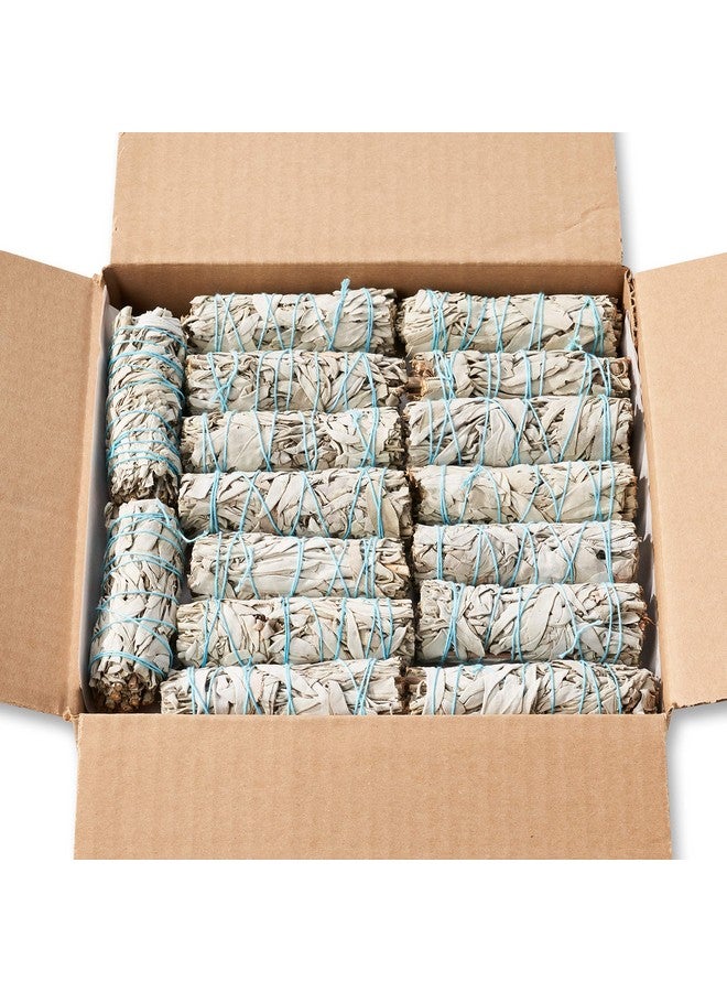 BLUE RIVER SAGE 25 White Sage 4" ~ Sage Smudge Sticks for Smudging & Cleansing Energy ~ Bulk/Wholesale ~ Sustainably Grown (25 Pack) - Image 2