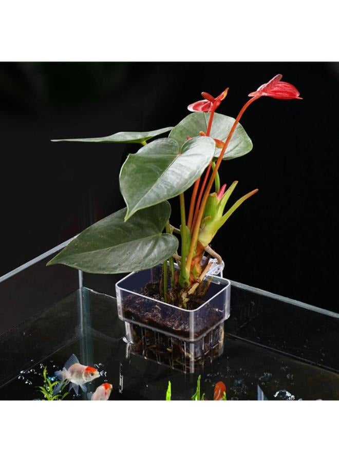 حامل نباتات مائية معلق من BK - Image 5