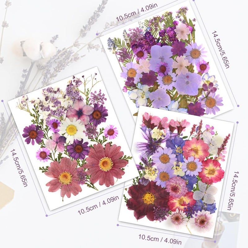 Eshow 100Pcs Natural Pressed Dried Flowers Resin, Dry Flowers for Resin Accessories, Dried Flower for Scrapbooking DIY Art Crafts, Epoxy Resin Jewelry Molds, Candle, Nails Décor, Craft Making - Image 3