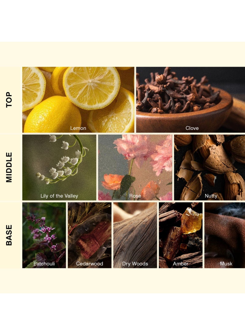 ISCENT | Opulent Sunset – Fragrance Oil Refill for Ensō Mini Diffuser 10ml | Rose, Clove & Amber for Home & Car | Spiced Florals with Golden Amber & Warm Woody Glow - Image 2