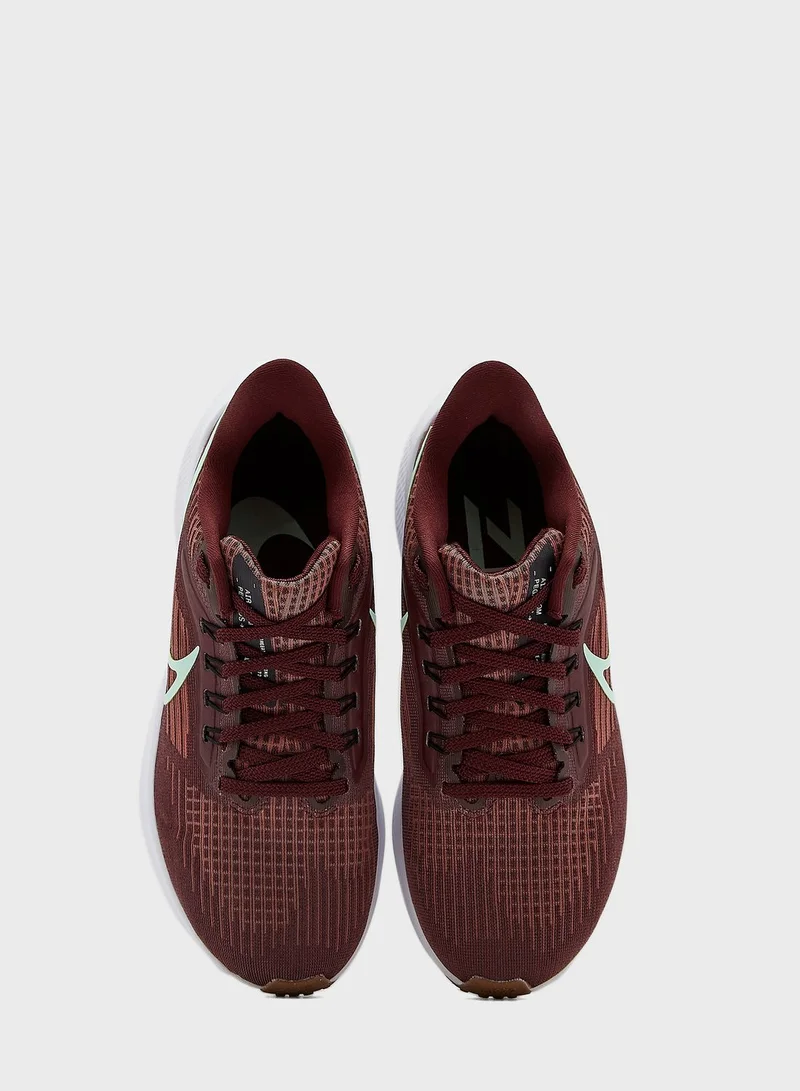 Nike Air Zoom Pegasus 39
