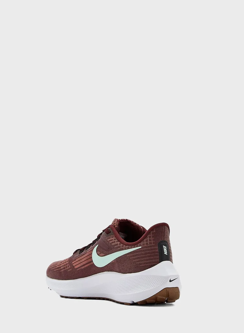 Nike Air Zoom Pegasus 39