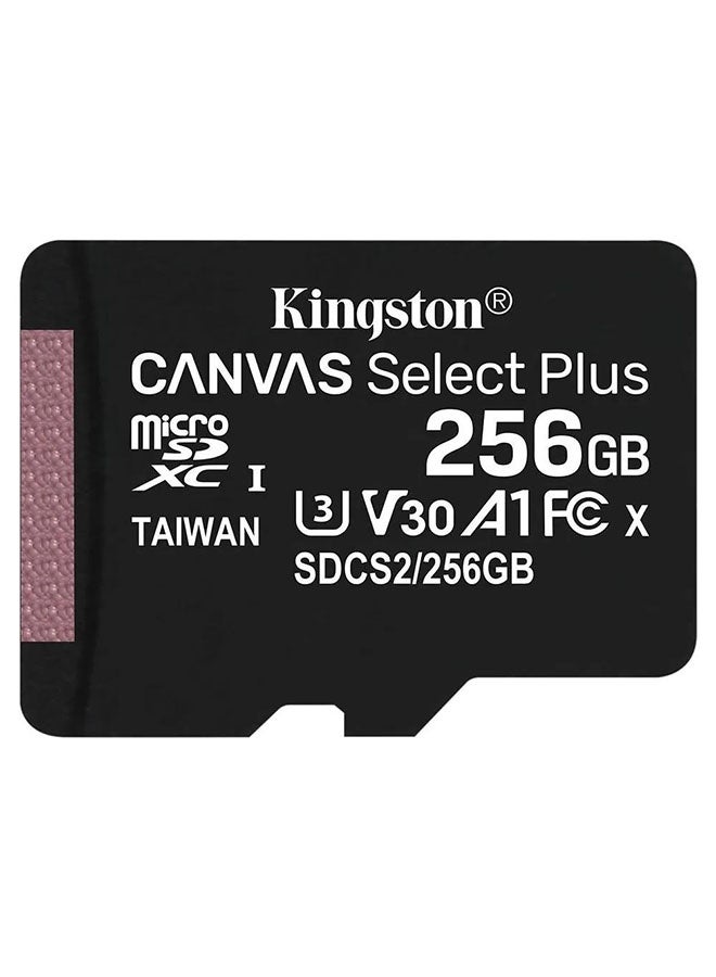 Kingston Grey بطاقة ميكرو سد كينغستون كانفاس سيلكت بلس بسعة 256 جيجابايت، بطاقة ذاكرة عالية السرعة لهواتف الذكاء، وكاميرات المراقبة والكاميرات الفعالة - Image 1