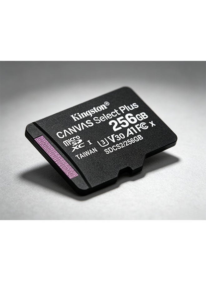 Kingston Grey بطاقة ميكرو سد كينغستون كانفاس سيلكت بلس بسعة 256 جيجابايت، بطاقة ذاكرة عالية السرعة لهواتف الذكاء، وكاميرات المراقبة والكاميرات الفعالة - Image 2