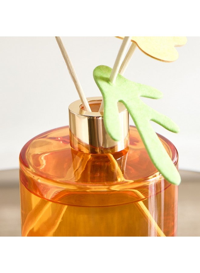 Home Box Abbey Urban Nature The Smell Joys of Autumn Reed Diffuser 180 ml  - Image 3