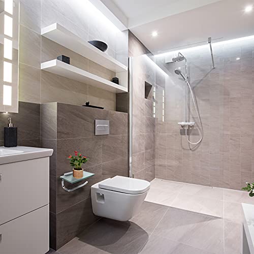 RAIKEDR Toilet Paper Holder Bathroom Paper Toilet Roll Holder Hanger,Toilet Paper Holder with Shelf, Glassed Steel Frosted Silvery Lavatory Tissue Holder with Mobile Phone Storage Rack (Silvery) - Image 3