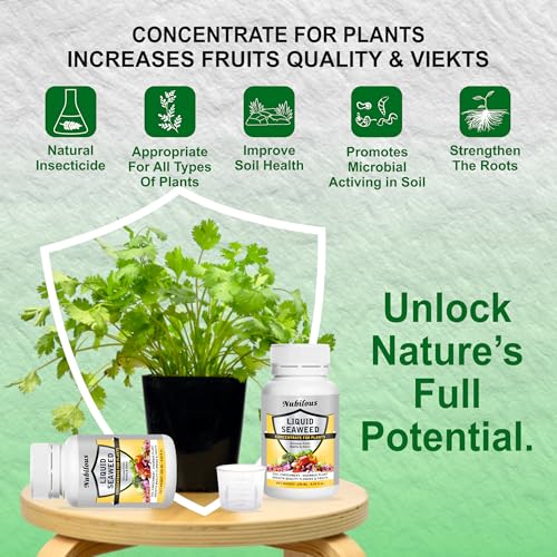 Nubilous 250 ML Liquid Seaweed Fertilizer Concentrate with Measuring Cup 25 ml for Indoor & Outdoor Plant - Growth Booster Plants Tonic For Speed Growth, Healthy Roots (250 ml (Pack of 1)) - Image 3