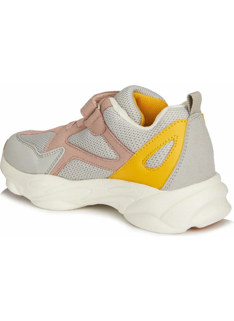فيكو Asimo Light Baby Girl Gray Sneaker