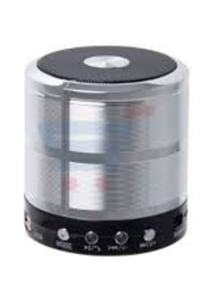 Portable Bluetooth Speaker Ws-887 with Fm Memory Card And Usb Support Silver