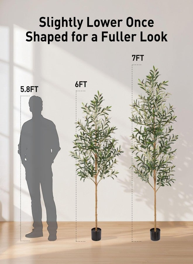 FLOWORLD 6FT Olive Trees Artificial Indoor, Tall Faux Olive Tree 6FT (72in) with Natural Wood Trunk & Realistic Olives, Stable Base, Pet Friendly Artificial Plant for Home Office, Living Room, Outdoor - Image 5