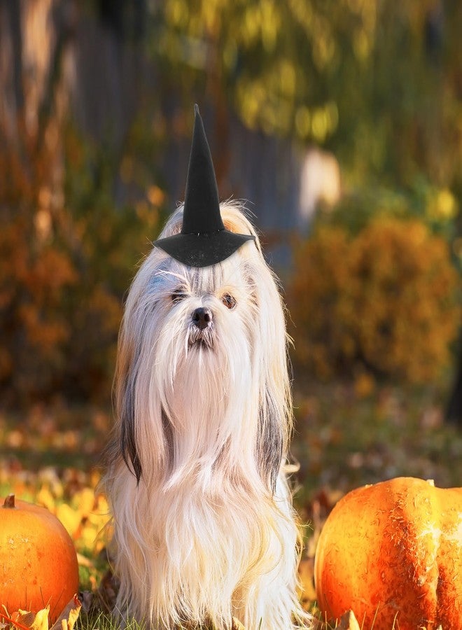 PRETYZOOM 2Pcs Halloween Pet Hat Little Cat Dog Witch Cap with Strap Halloween Party Pet Costume Accessory Party Favors - Image 4
