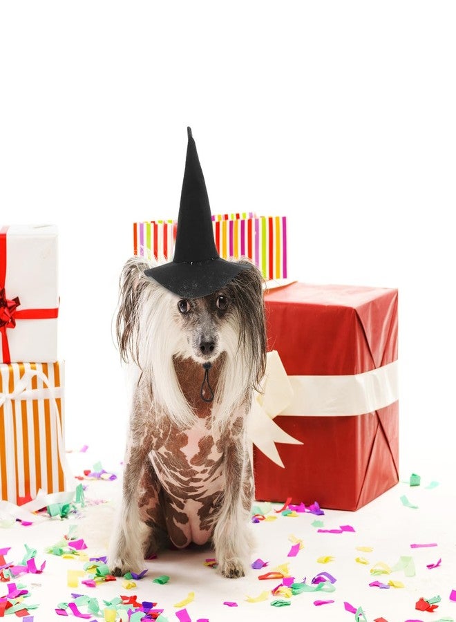 PRETYZOOM 2Pcs Halloween Pet Hat Little Cat Dog Witch Cap with Strap Halloween Party Pet Costume Accessory Party Favors - Image 3