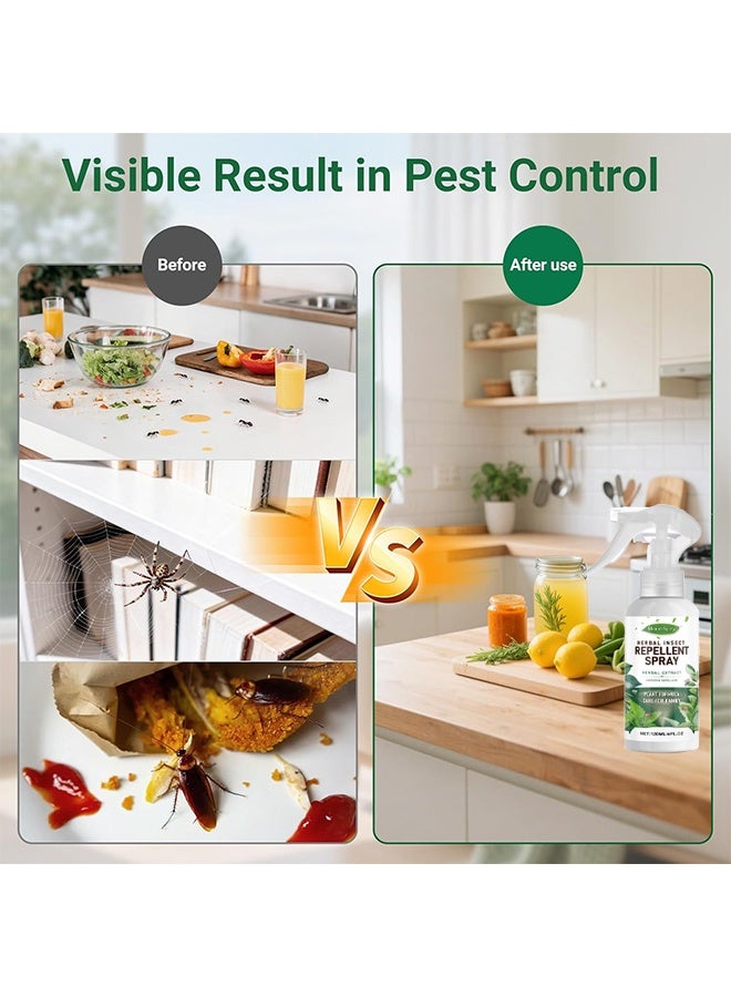 MOONSPRY 120ml Herbal Insect Repellent Spray, Natural Indoor & Outdoor Bug Control Spray, Low Odor Roach & Fly Killer Spray, Plant-Based Actives Kill Insects & Bugs On Contact, Non-Greasy, For Spiders, Ants, Roaches, And More, Kids And Pets Safe - Image 5