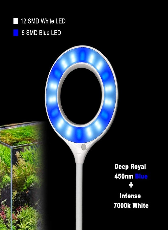 Rs Electrical Aquarium Fish Bowl Clip On Clamp Led Light Lamp For Small Fish Tanks Super Bright Blue White Led - 6.4W Energy Saving By Visual Arrest, Pack of 1 - Image 5