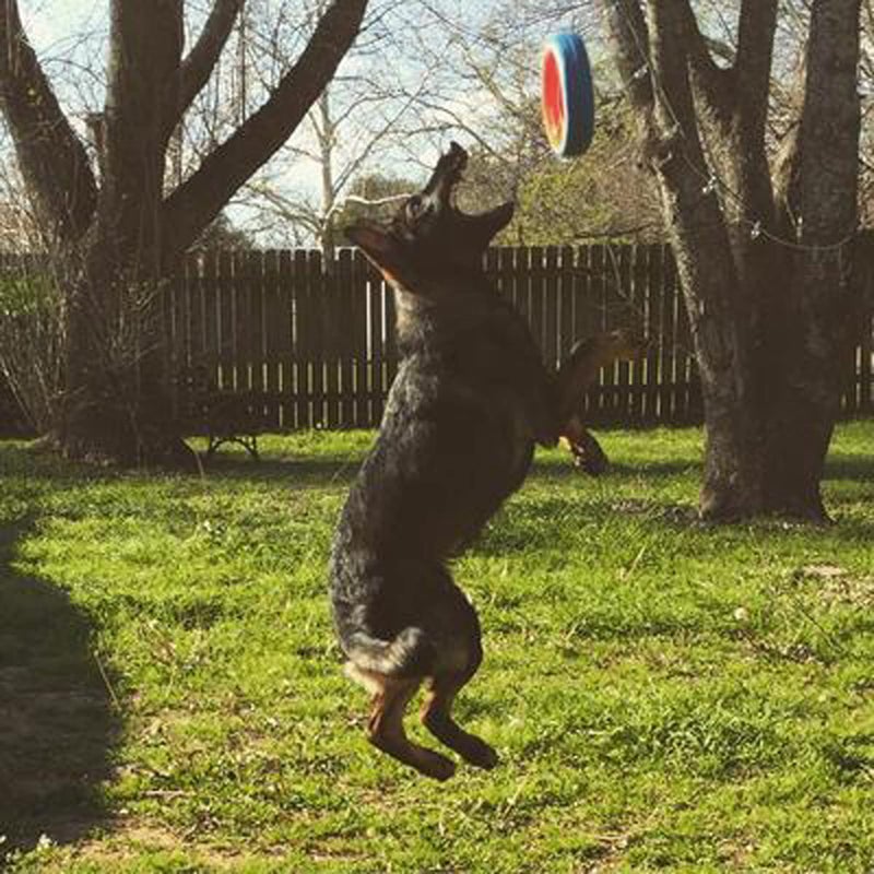 Chuckit! Fetch Wheel Outdoor Dog Toy, Large, For Large Breeds - Image 2