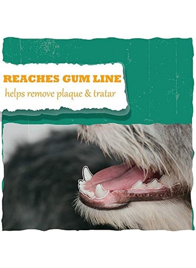 بت عظمة جلدية خام مضغوطة مقاس 8 بوصات مع عظمة مضغ بلاستيكية مقاس 9 بوصات للعب الكلاب للمضغ العدواني - Image 4