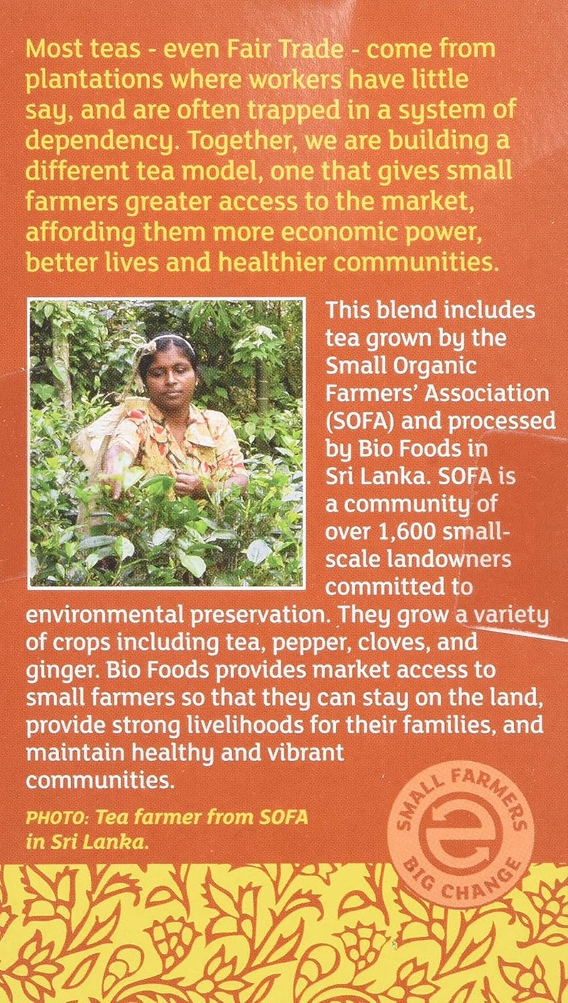 Equal Exchange Organic Chai Tea - Pack of 3 - Image 3