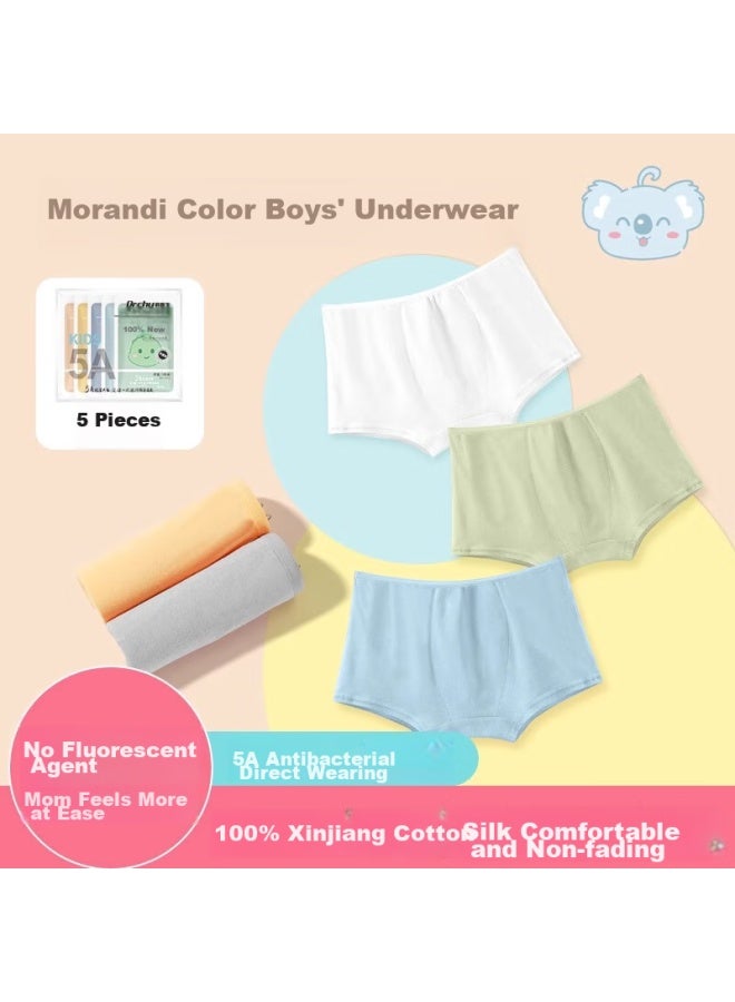 DR.CHU Dr.chu Children's Disposable Underwear, Pure Cotton Sterilized, Girls' Individual Pack, Boys' Travel Daily Disposable Boxer Briefs, For Children And Teens  - Image 2
