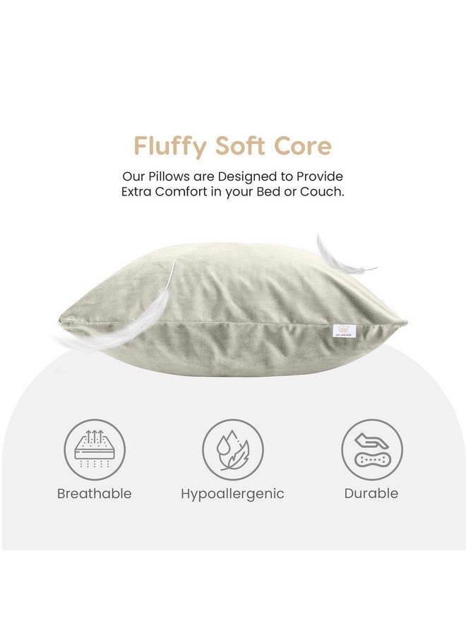MY ARMOR Microfiber Square Pillow Cushion for Sofa & Bed | Soft, Fluffy for Comfort & Back Support | Breathable, Washable | Premium Velvet Outer Cover with Zip | Cream, Pack of 1 [24" x 24"] - Image 3