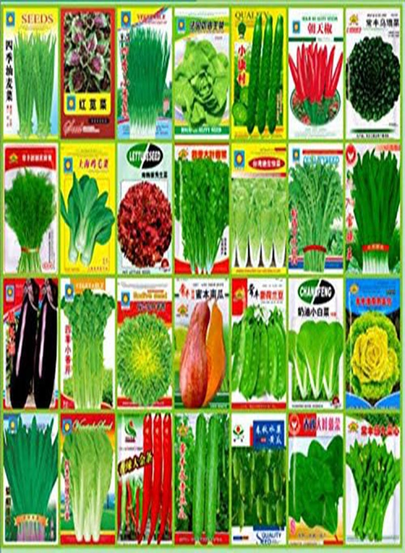 جي جوت عبوة البذور: سبانخ أحمر 100 بذرة: بذور خضراوات لحديقة الفناء غير معدلة وراثيًا اقتصادية ملونة صورة العبوة - Image 1