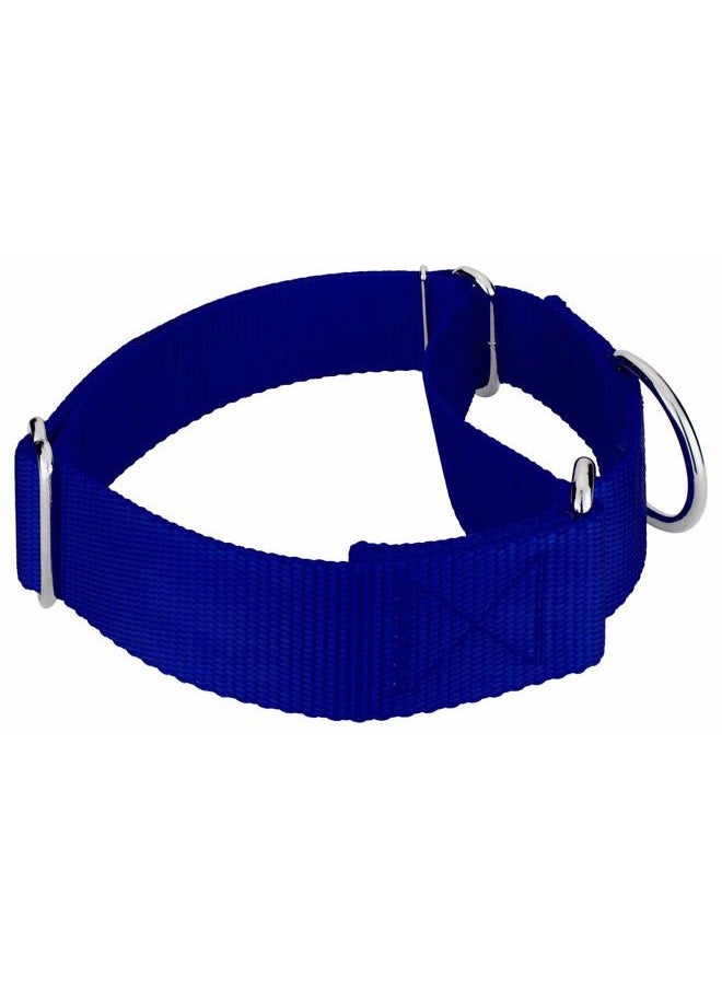 Country Brook Design Country Brook Petz 1 1/2 Inch Martingale Heavy Duty Nylon Adjustable Dog Collar for Small, Medium, Large Breeds - Vibrant 17 Color Selection (Royal Blue, Large)  - Image 4